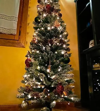 La Voz Del Silencio * Neril