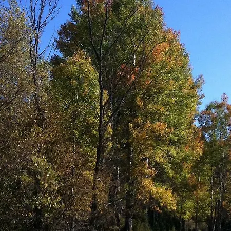 La Voz Del Silencio Casa de Campo *