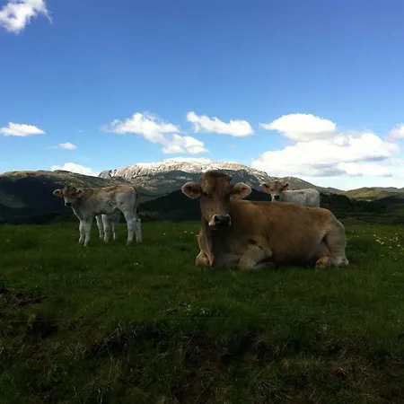 Séjour à la campagne La Voz Del Silencio *