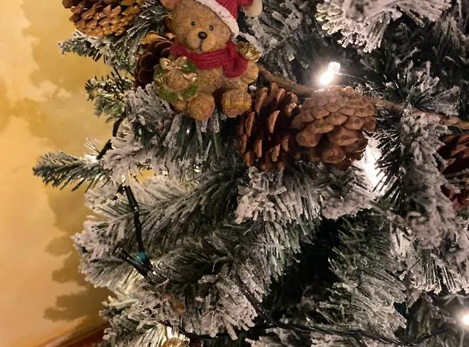 La Voz Del Silencio Lantställe Neril