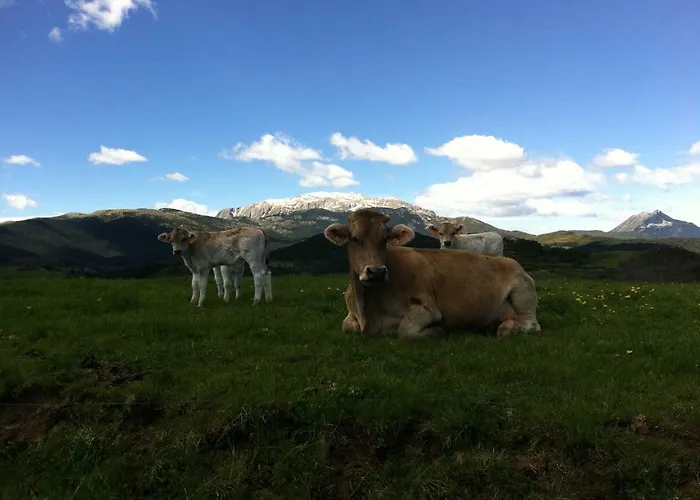 Lantställe La Voz Del Silencio *